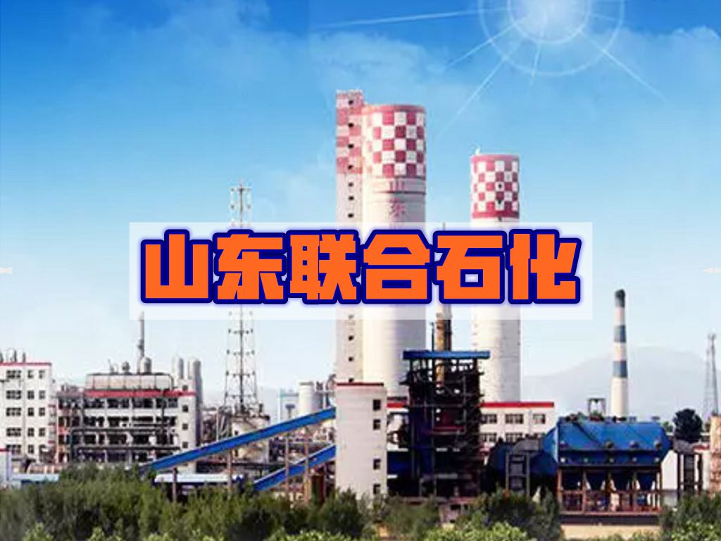 <b>山东联合石化气体检测仪项目</b>