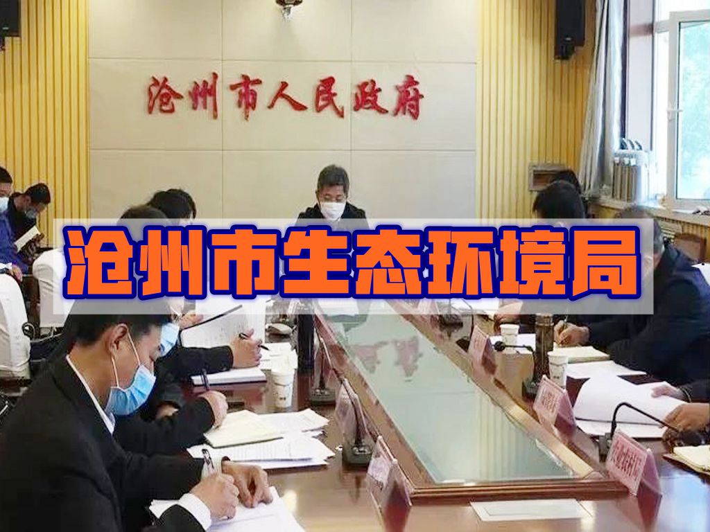<b>参与沧州市生态环境局大气突击治理项目</b>